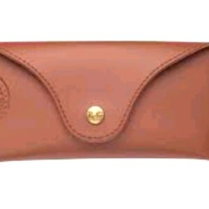 Ray-Ban Sunglasses clCase